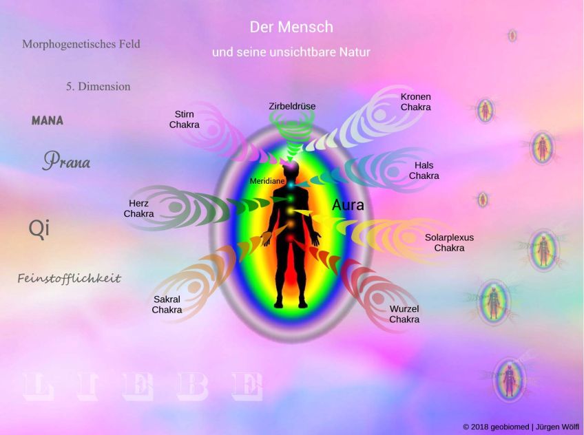 Der Mensch und seine unsichtbare Natur